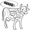 Block Ferrite Cow Stomach Magnet